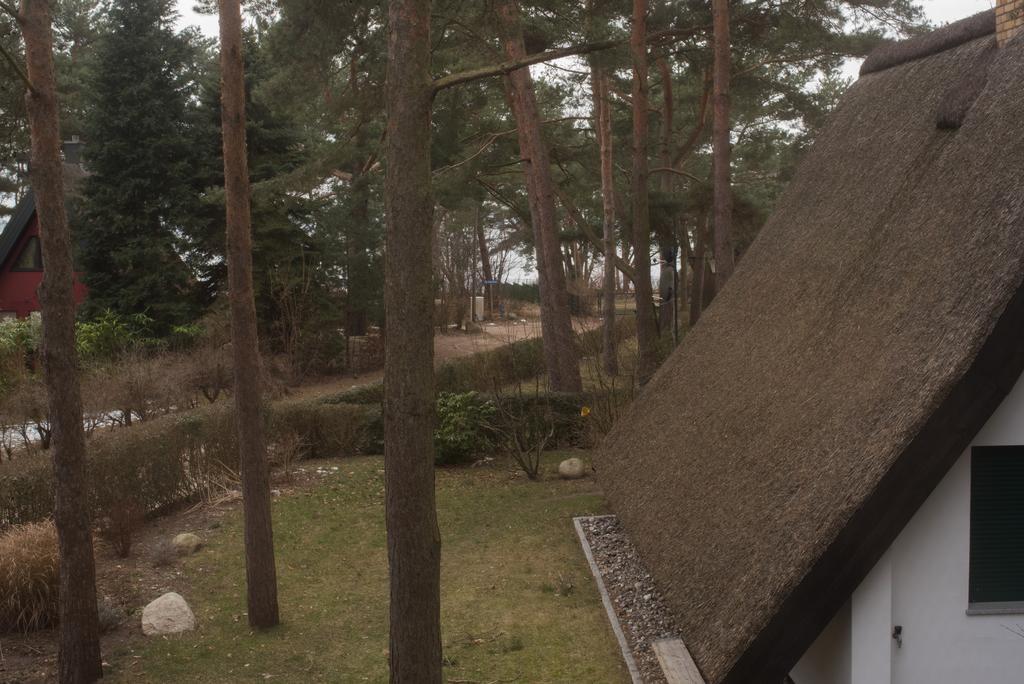 Reetdach-Ferienhaus In Quilitz Rankwitz Eksteriør bilde